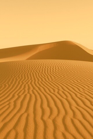 Красные барханы пустыни обои