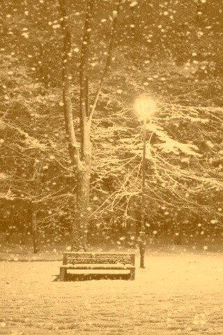 Ночь..улица..фонарь..скамейка.. обои