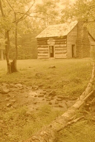 Домик в лесу обои