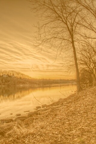 Осенний закат обои