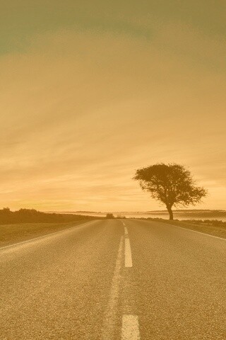 Дорога обои