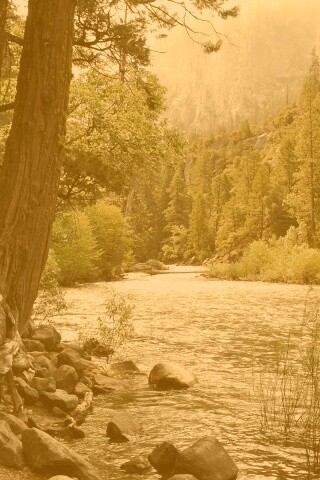 Национальный заповедник обои