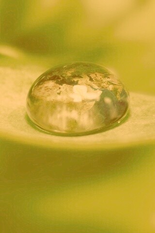 Целый мир в капле воды обои