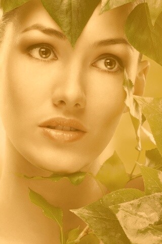 Девушка с зелеными листьями обои