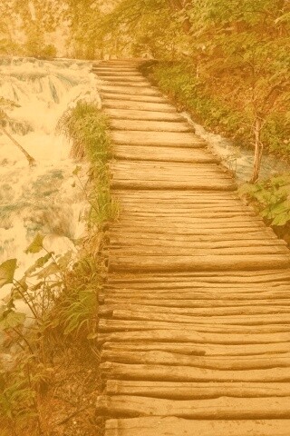 Деревянная дорожка над ручьем обои