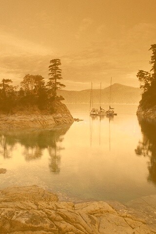 Яхты в заливе обои