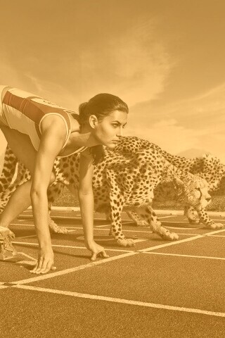 Настоящая гонка обои