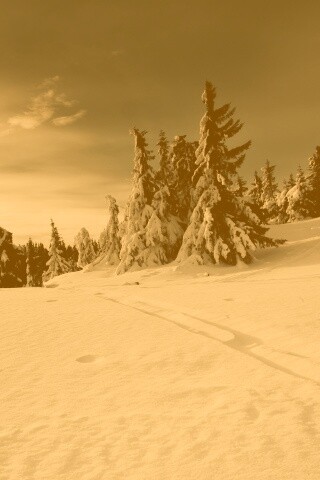 Зимние просторы обои