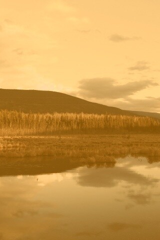 Осеннее озеро обои