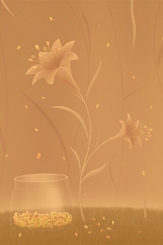 Волшебные цветы и конфетки обои