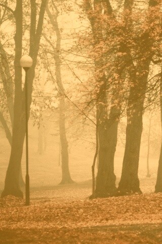 Парк красных листьев обои