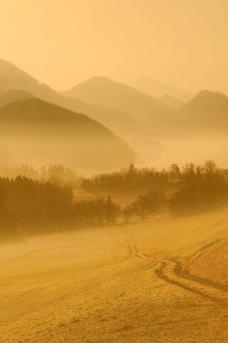 Дорога в туманную долину обои