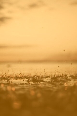 Дождь в макро обои