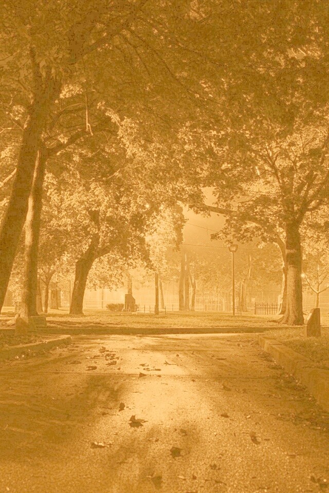 Ночной парк обои