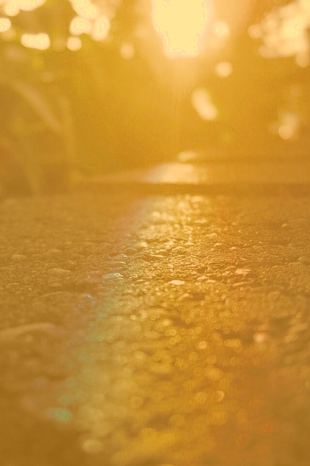 Макро радуга на камне обои