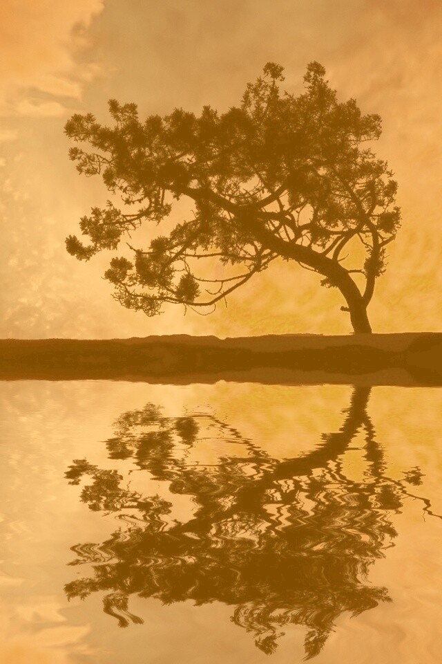 Зеркальное озеро обои