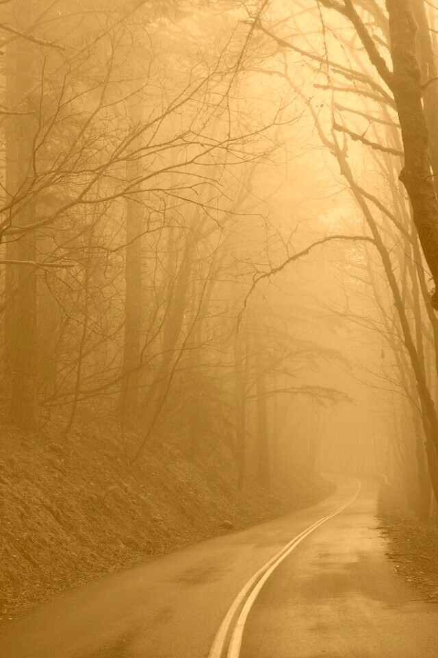 В туман обои