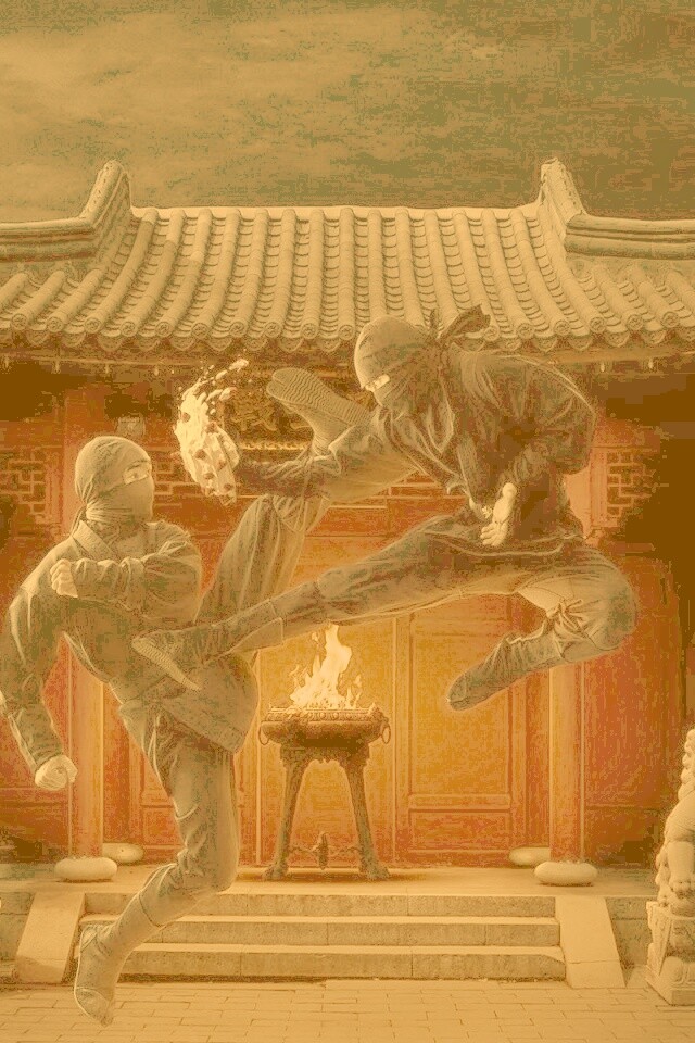 Бой ниндзя обои