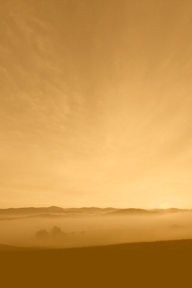 Утренний туман обои