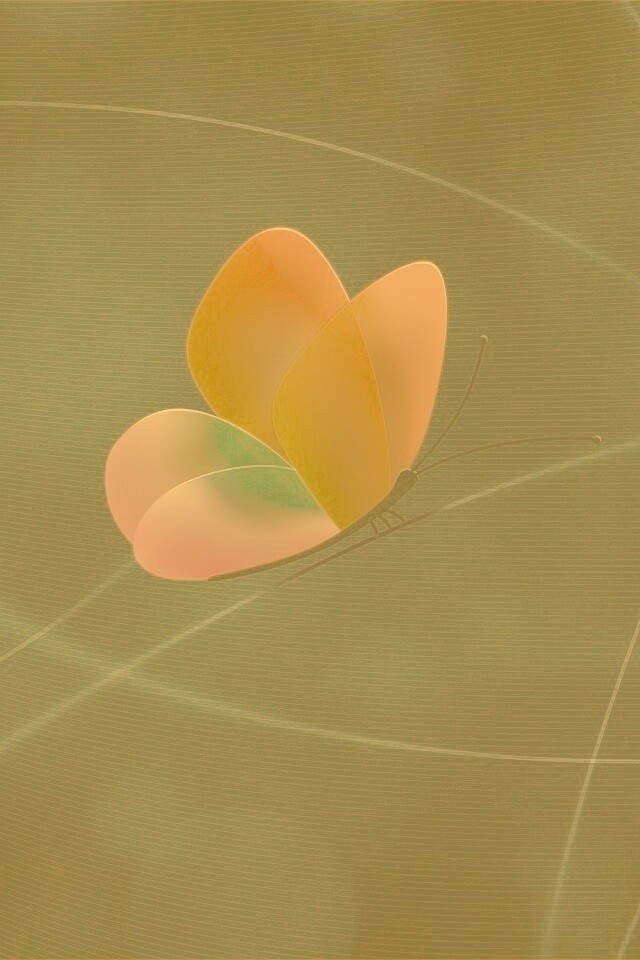 Бабочка с радужными крыльями обои