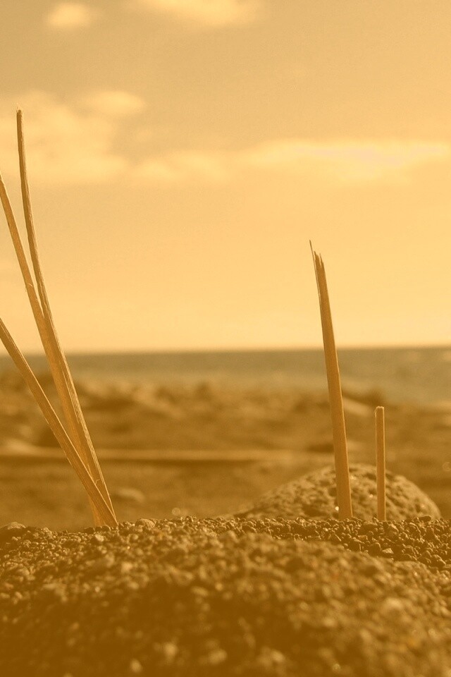 Солома на океанском берегу обои