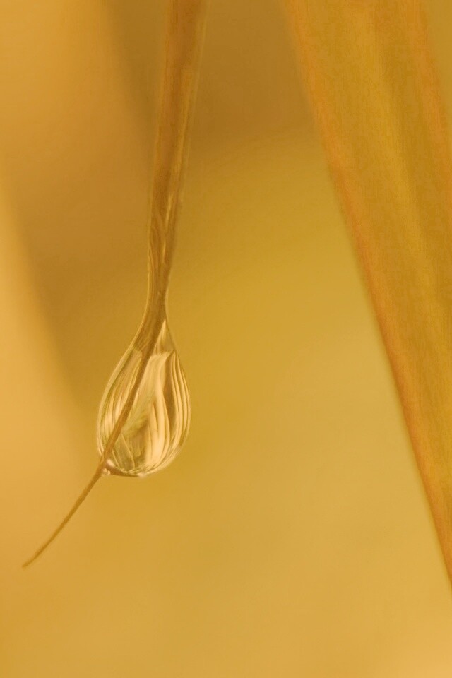 Стекающая капля обои