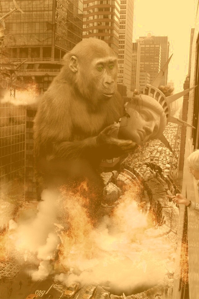 Обезьяна терроизирует Нью-Йорк обои