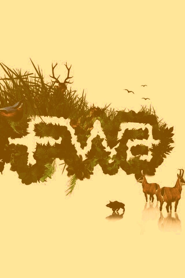 FWA обои