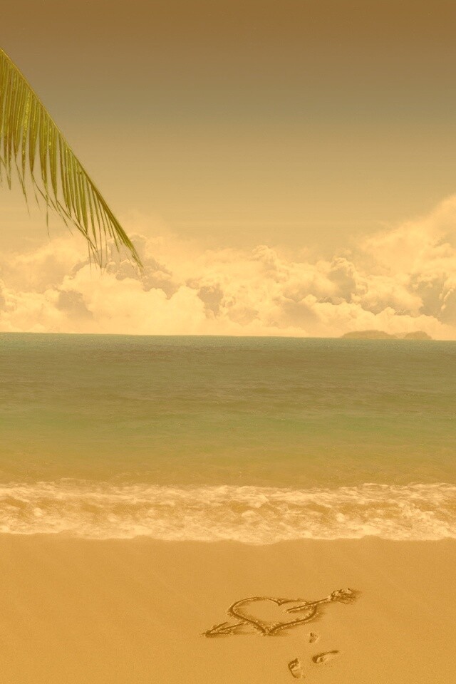 Любовь на океанском берегу обои