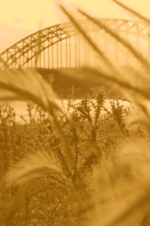 Железнодорожный мост обои