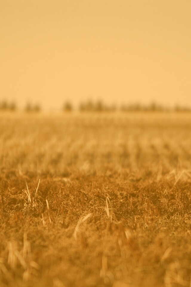 Поле перед вспашкой обои