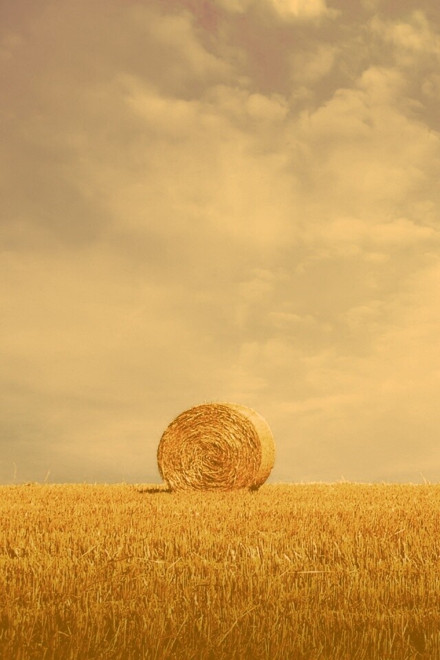 СОломеннынй рулон обои