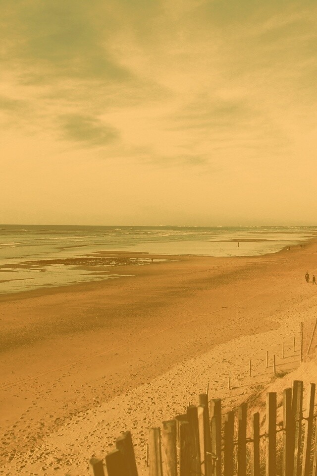 Обмелевший берег обои