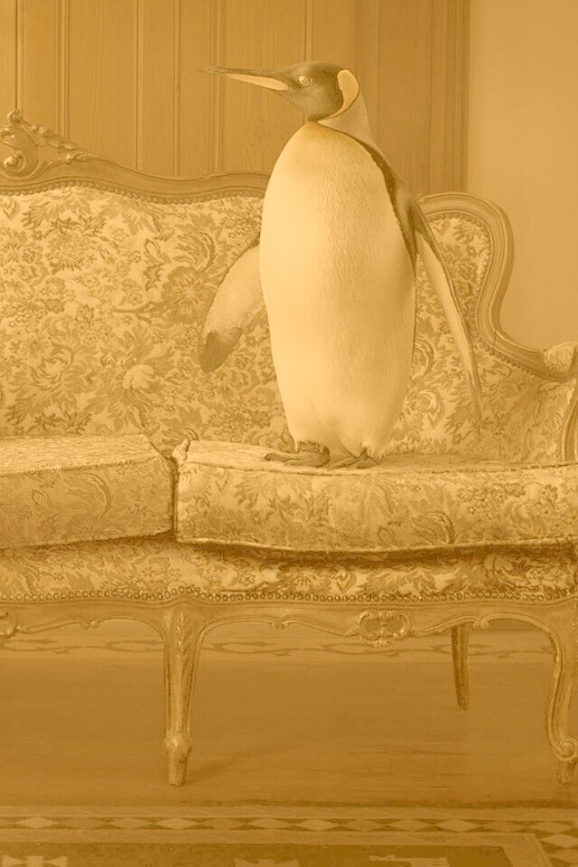 Соседи по дивану обои