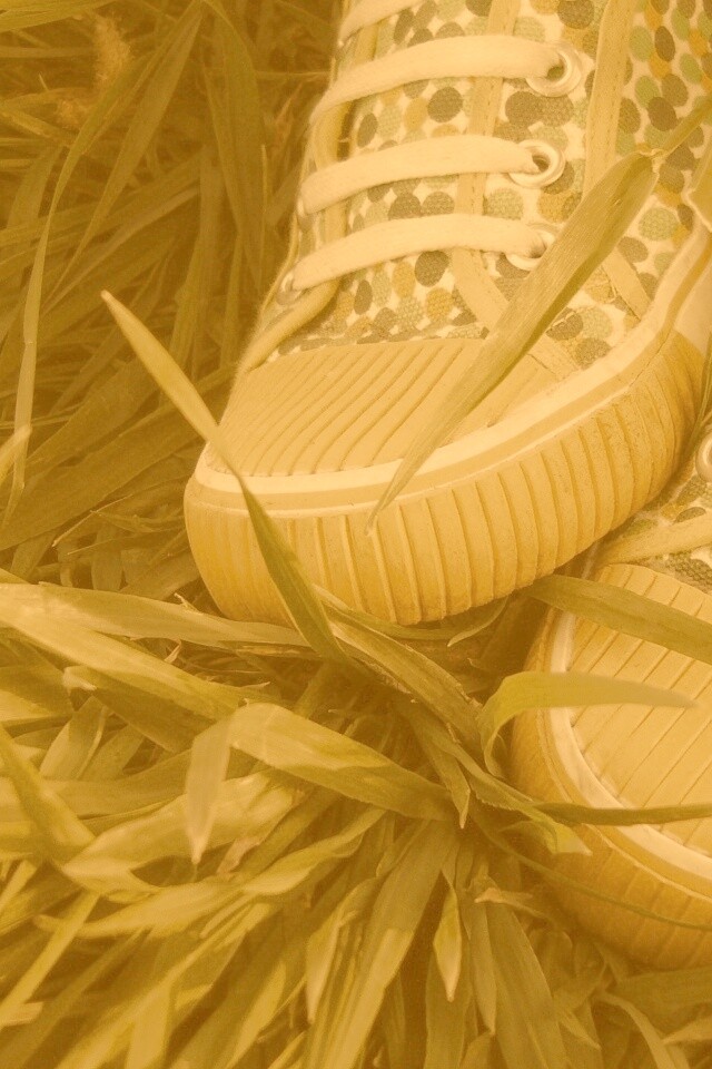 Желтые кеды в горошек обои