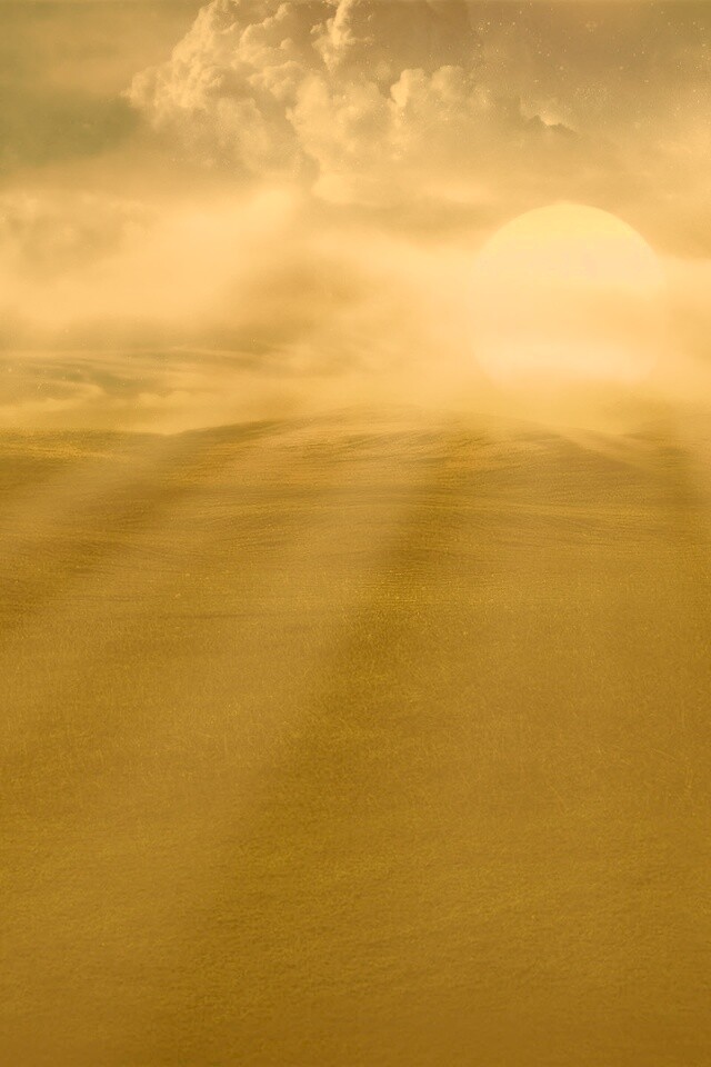 Белое солнце обои