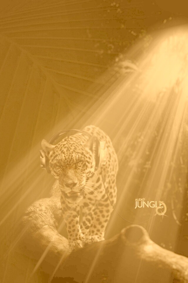 Ягуар в наушниках обои