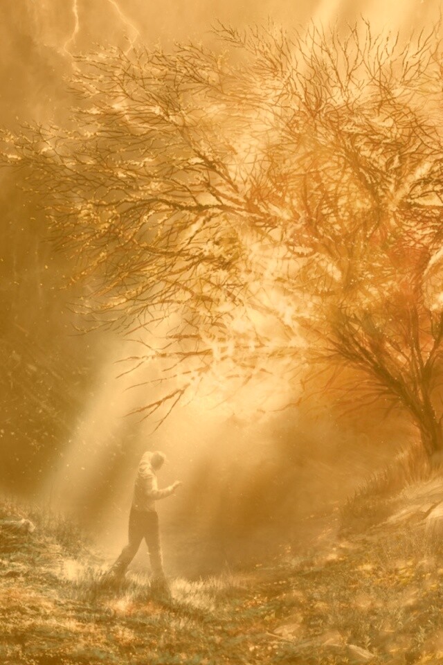 Горящее дерево обои