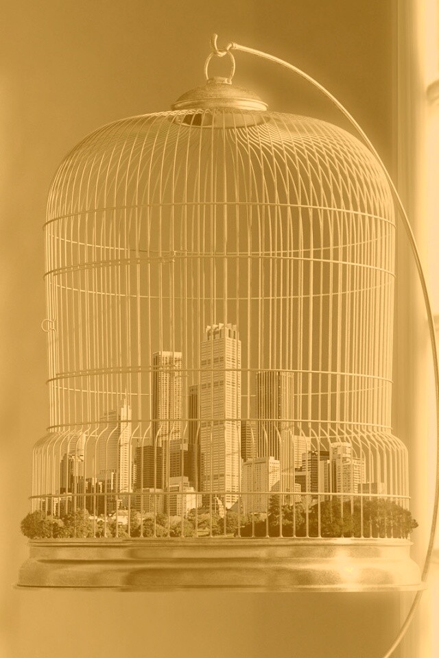 Город в клетке обои