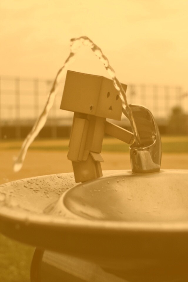 Дандо пьет в воду из фонтанчика обои