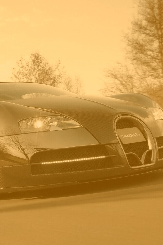 Bugatti Veyron обои