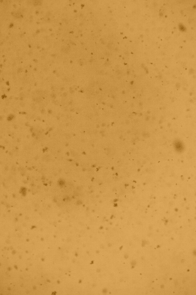 Черные пятна на сером фоне обои