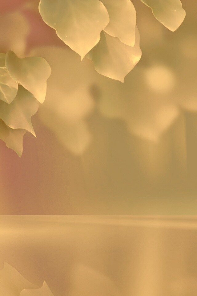 Синие листья обои