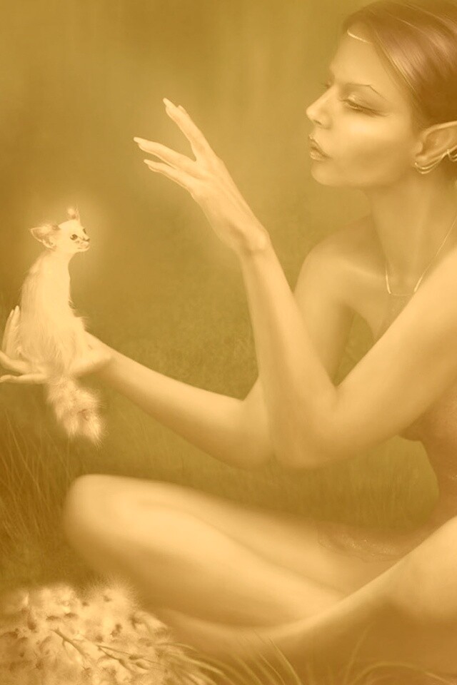 Почет и процветание обои