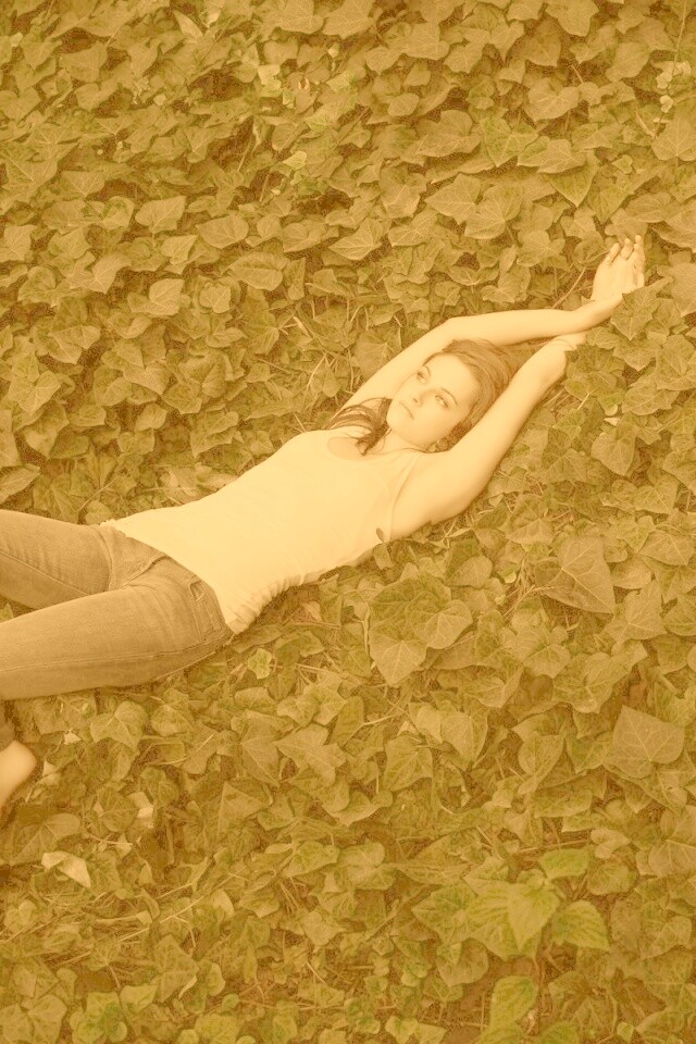 Кристен Стюарт на ковре из листьев обои