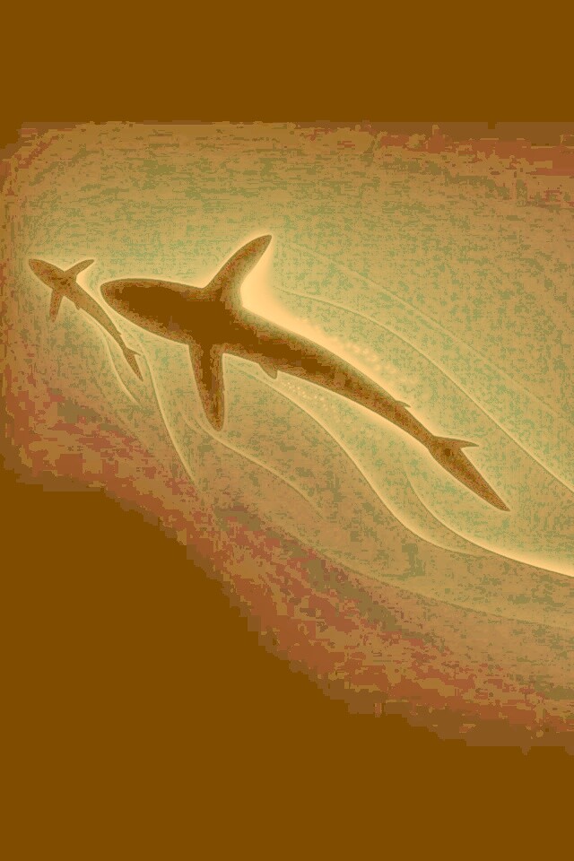 Рыбы в глубине обои