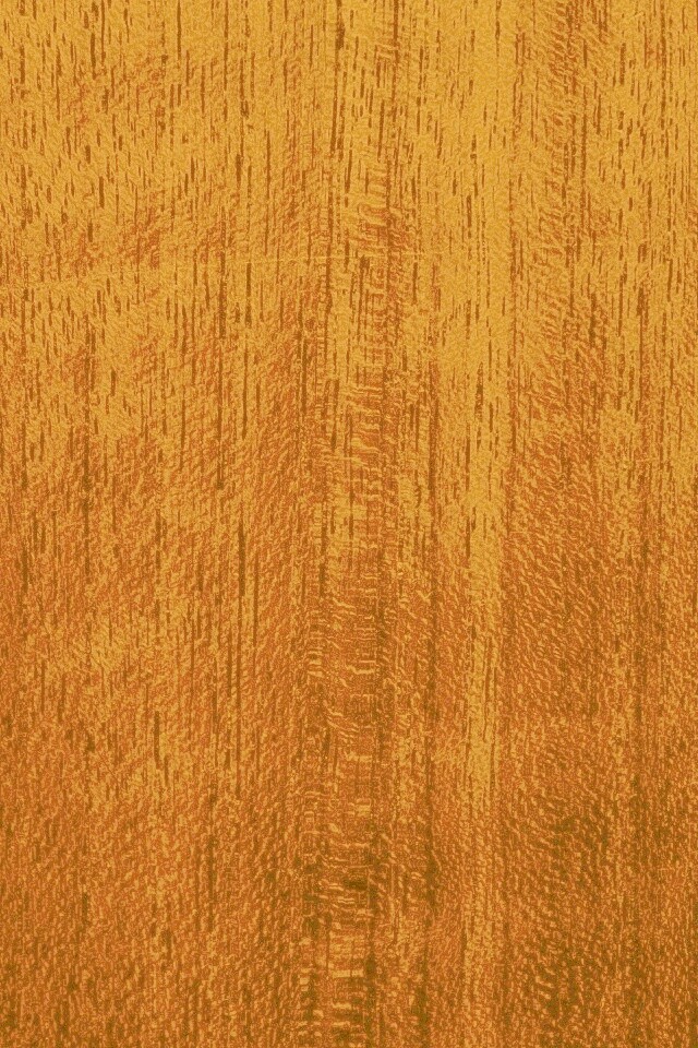 Темно-оранжевое дерево обои