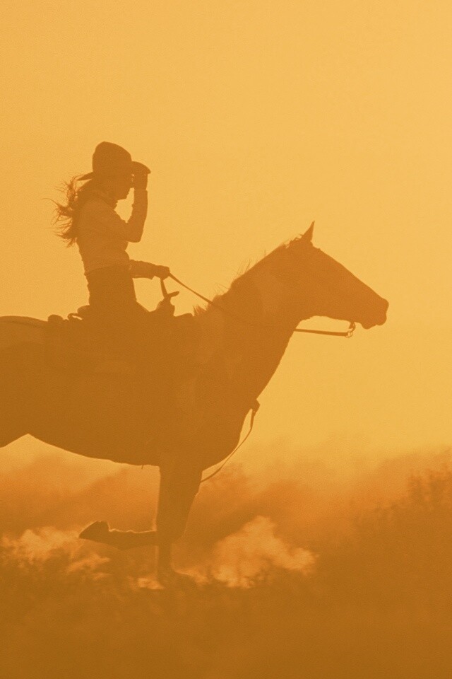 Наездница на закате обои