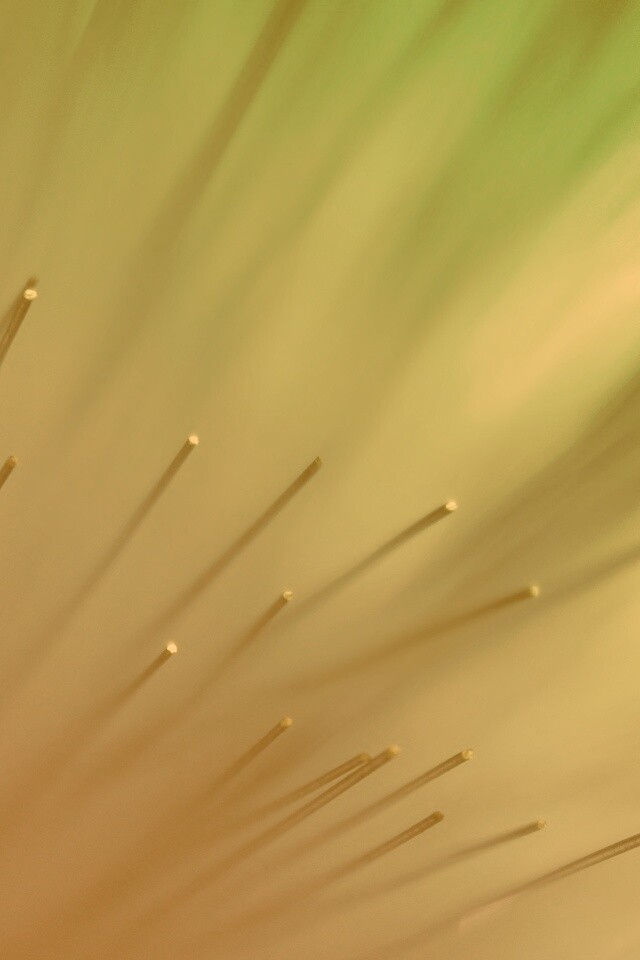 Световоды в рассеяном свете обои