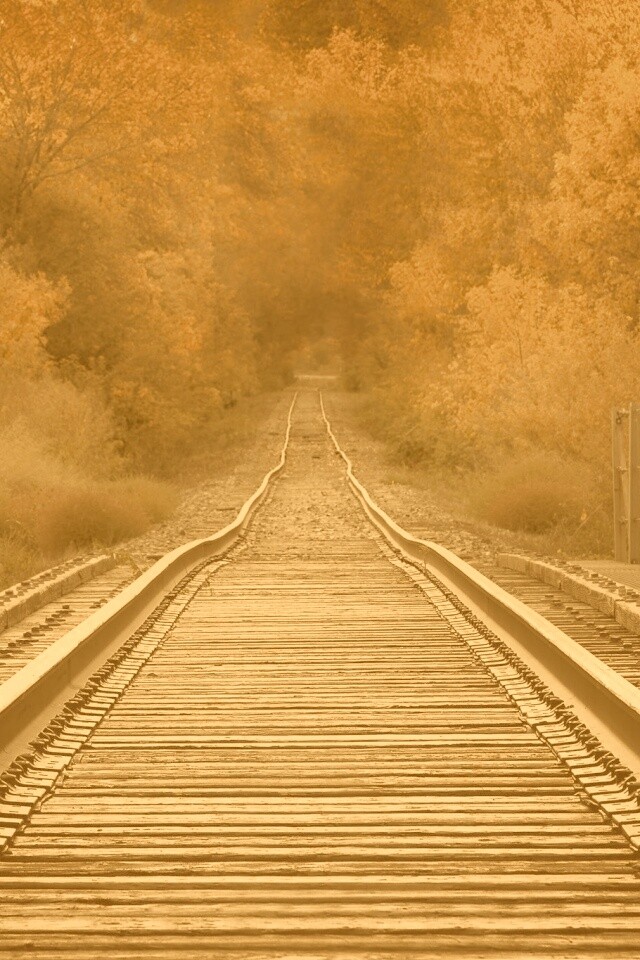 Железная дорога в осеннем лесу обои